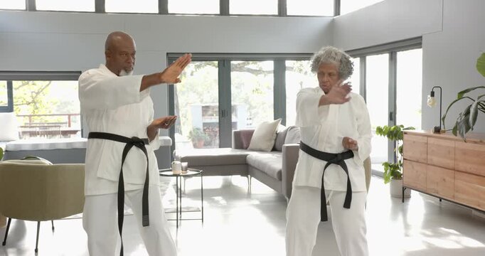 Lifestyle videos indoor of people doing activities at home, practicing martial arts, senior couple i