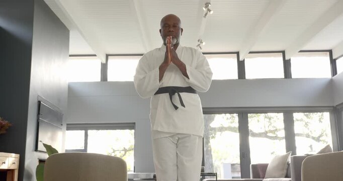 Lifestyle videos indoor of people doing activities at home, practicing martial arts, man in karate u