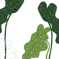 PNG philodendron plant sticker botanical illustration © Rawpixel.com