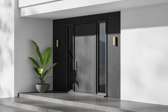 Contemporary Residential Entrance Design with Dark Fluted Facade, Timber Door, Brass Lighting, Concrete Steps, and Tropical Potted Plant. 3D Rendering