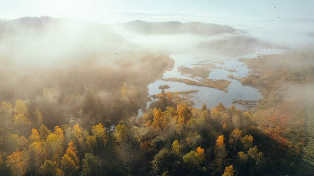 Aerial View of Misty Autumn Forest and Wetlands at Sunrise