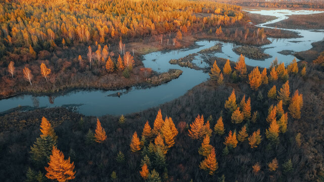 Aerial View of Winding River Through Autumn Forest in Siberia