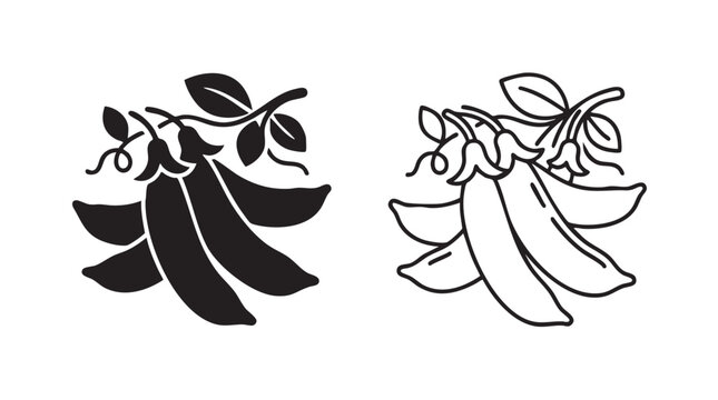 snap pea vector icon silhouette with line art silhouette with line silhouette with line art vector icon