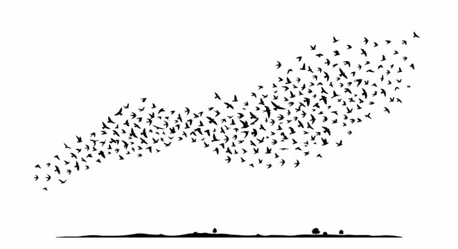 Silhouette of a flock of flying birds symbolizing freedom