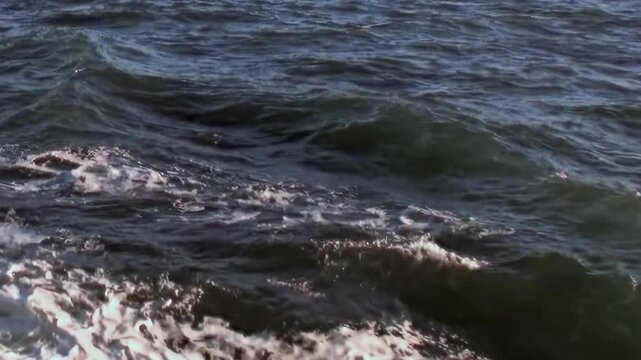 Sunlight and reflected light shimmer across a rippling cold water surface. The frame also shows small waves and sunlit reflections, adding visible texture and spatial context to the scene.
