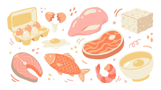 Set of assorted protein food illustrations featuring meat, fish, eggs, and tofu, flat vector icons for nutrition labels, healthy diet menus, balanced