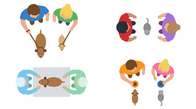 Top down view of people with pets walking and feeding, domestic animals care, social interaction, daily routine, park activities, diverse lifestyle