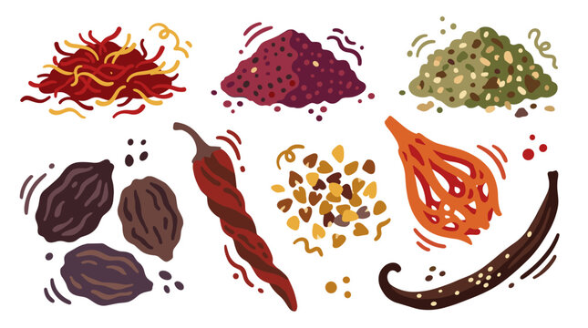 Collection of various dry spices and herbs, hand drawn seasoning ingredients including saffron, chili, vanilla bean, rustic kitchen illustration
