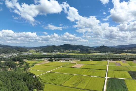Aerial View of Rice Fields, River and Mountain Landscape in Yecheon, South Korea