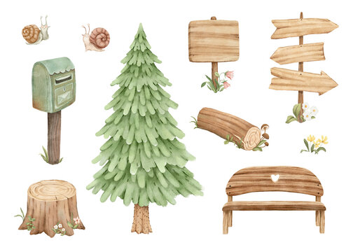 Watercolor set of design elements with fir tree, log, signposts, bench, mailbox, cute cartoon snails and tree stump. Isolated decoration items for your cards, posters, prints, wallpapers in kids room.