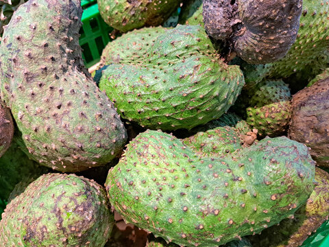 Rough green fruits with spiky skin piled together
