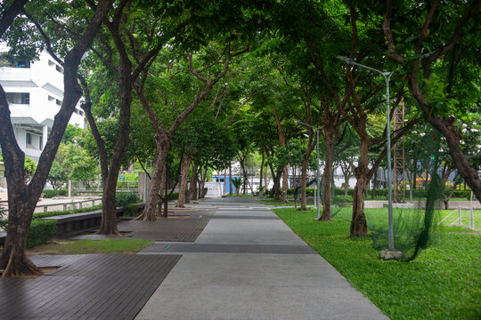 Beautiful nature at morning with sun in big city park