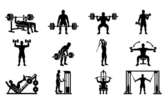Set of black silhouette icons depicting various gym exercises and weight training movements for fitness and bodybuilding