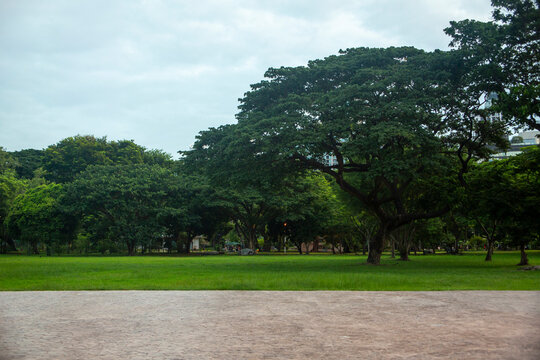 Beautiful nature at morning with sun in big city park