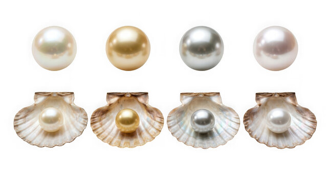Collection of various colored pearls in open seashells isolated on transparent background
