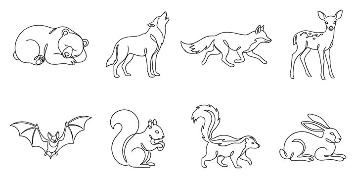 Collection of hand-drawn outline animal vector illustrations featuring a bear wolf fox deer bat squirrel skunk and rabbit.