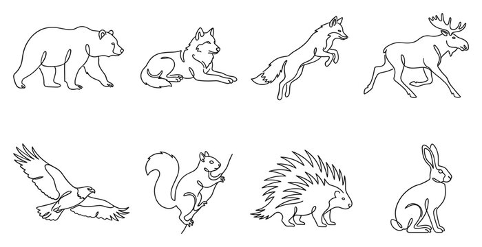 Collection of diverse forest animals hand drawn in simple outline style including bear wolf fox moose eagle squirrel porcupine and rabbit.