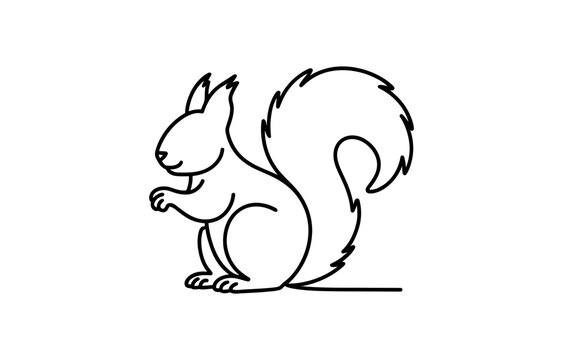 Cute squirrel line art drawing animal illustration