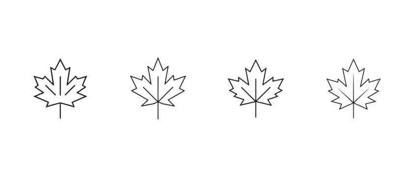 maple leaves with different shapes and sizes outlined in black on white background  illustrations of leaves
