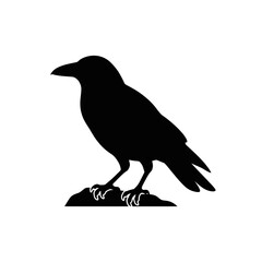 Fototapeta premium Halloween Black Crow Silhouette Vector Illustration on White
