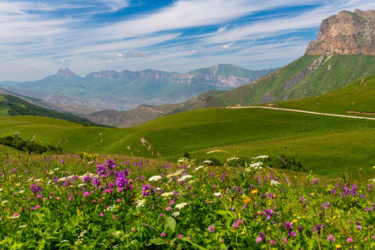 Landscape of Caucasus mountains at sunny summer day