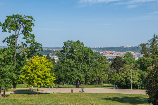 Riegrovy Sady Park In Prague