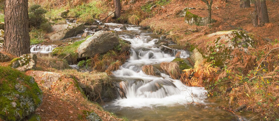 Arroyo de aguas frías fluyendo en un bosque de alta montaña en otoño. Paisaje en larga exposición. Sierra de Guadarrama, arroyo del Chorro en San Mamés, Madrid, España. © AngelLuis