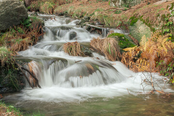 Arroyo de aguas frías fluyendo en un bosque de alta montaña en otoño. Paisaje en larga exposición. Sierra de Guadarrama, arroyo del Chorro en San Mamés, Madrid, España. © AngelLuis