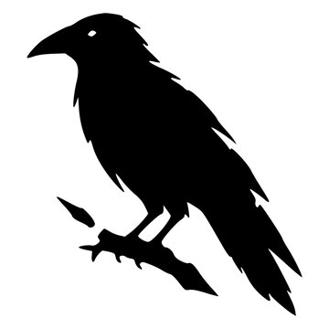 Gothic raven crow standing in profile with sleek folded wings, black silhouette vector icon for dark mystical Poe nevermore, omen, corvid bird, Halloween, tattoo and sticker designs.