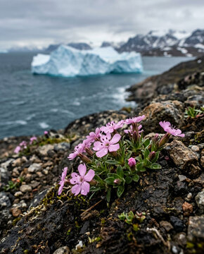 Delicate Wildflowers Blooming Among Rocks on a Scenic Beach Coastline with Ocean Waves, Blue Sky, Rocky Shore, and Serene Summer Landscape