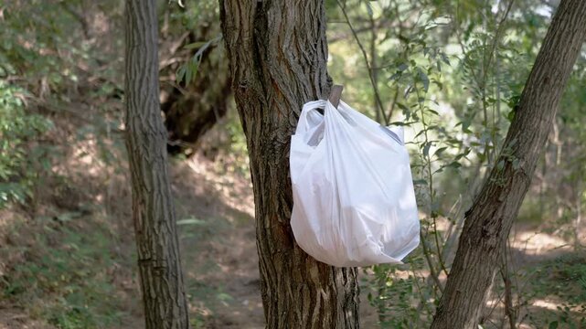 White plastic trash bag hangs from a branch on a textured tree trunk in a sunny woodland. Proper litter disposal habits protect natural habitats and promote conservation awareness.