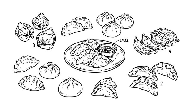 Hand drawn dumpling and Asian food collection featuring steamed buns, wontons and traditional dishes