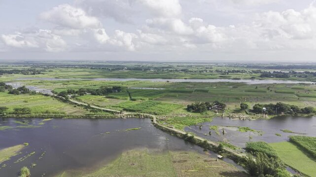 Aerial drone footage captures harvested jute bundles standing upright among uncut jute plants, with distant river water, open sky, clouds, green vegetation and rural farmland.
