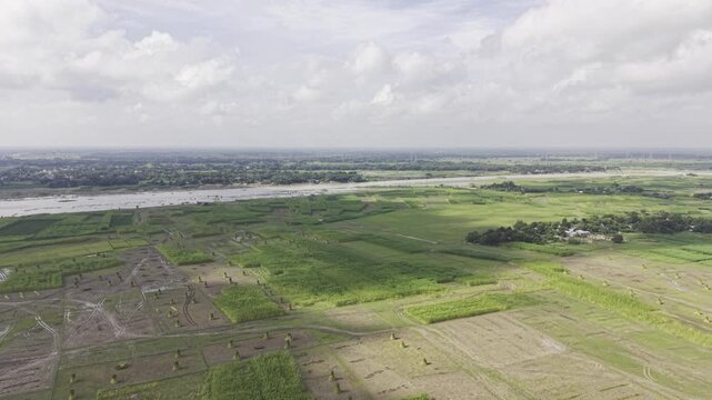 Aerial footage reveals jute fields with harvested jute bundles standing upright beside uncut plants, with distant river water, open sky, clouds, and rural farmland visible across the scene.

