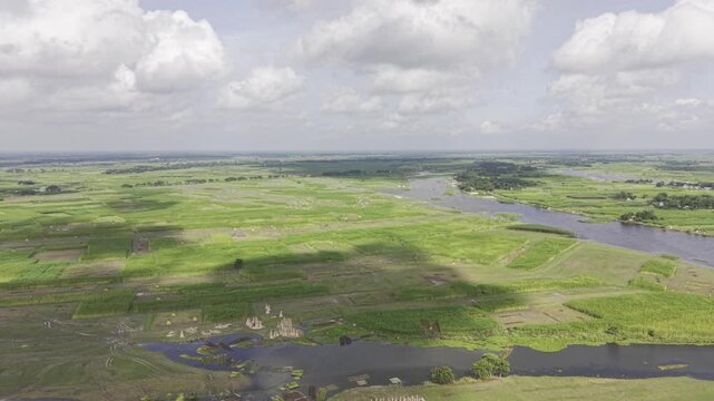 Drone aerial footage captures jute fields with standing harvested jute bundles and uncut plants, with distant river water, open sky, clouds, and surrounding rural farmland visible.