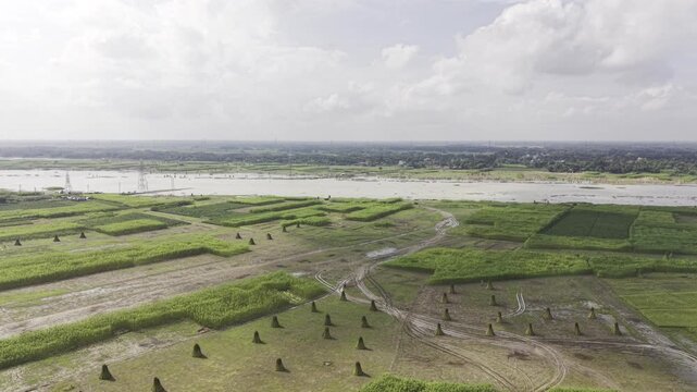Drone footage shows jute fields with upright bundles of harvested jute and some uncut plants, while distant river water, open sky, and clouds form the rural background landscape.