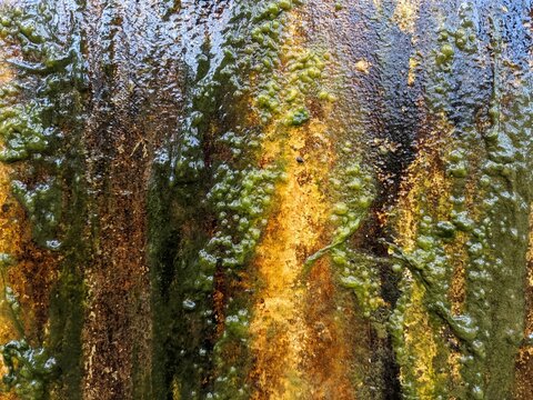 clear water flowing over vibrant green moss and textured rock.