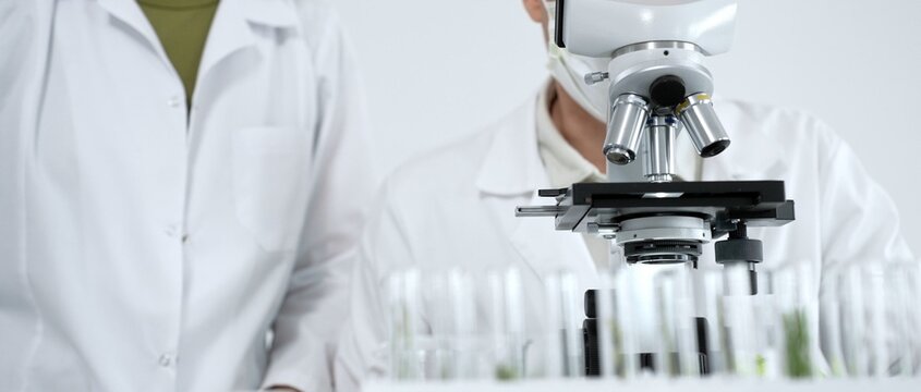 Scientists researching plant samples in a laboratory, examining biological specimens under a microscope for scientific discovery and medical advancement