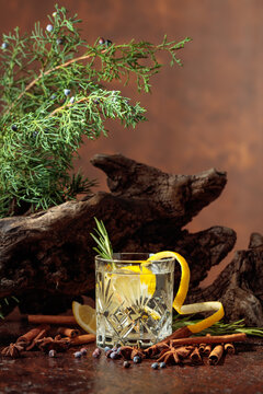 Cocktail gin-tonic with lemon, cinnamon, anise, and juniper berries.