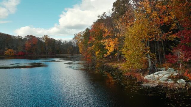 Flying over the blue water of a scenic lake surrounded with deciduous trees in rich autumn colors