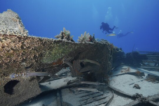 Two divers explore a shipwreck at the bottom of the sea, meteor wreck dive site, Russian hydrofoil, Arguineguin, Gran Canaria, Spain, Europe, Atlantic