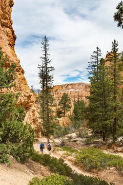Trail in bizarre landscape, reddish rocky landscape with fairy chimneys, sandstone formations, Bryce Canyon National Park, Utah, USA