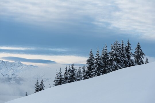 Snow-covered spruces, in the tohen snow, mountains, Hochbrixen, Brixen im Thale, Brixenthal, Tyrol, Austria