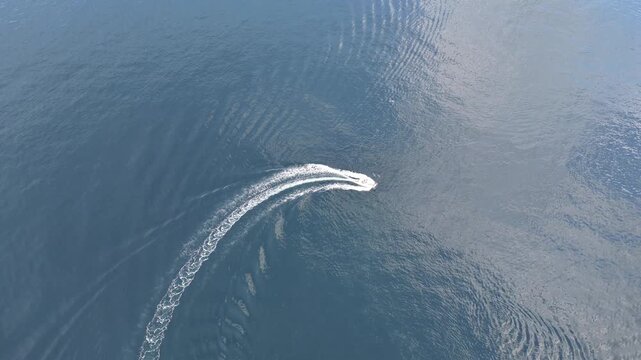 Aerial view of vessel illegally circling common dolphins including a juvenile calf in Donegal bay, Ireland