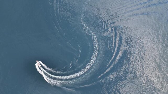 Aerial view of vessel illegally circling common dolphins including a juvenile calf in Donegal bay, Ireland
