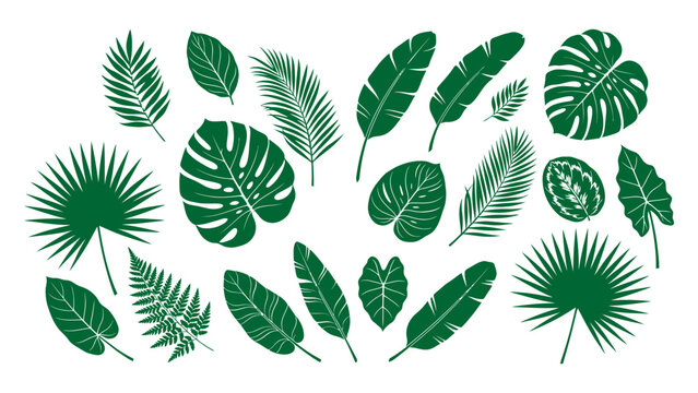 A wonderful collection of vibrant green tropical foliage arranged artistically to create a delightful representation of lush jungle flora and nature theme for your creative design projects
