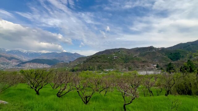 A scenic wide view of lush green agricultural orchards in a mountain valley backed by rolling forested hills under a partly cloudy blue sky in Khyber Pakhtunkhwa, Pakistan,