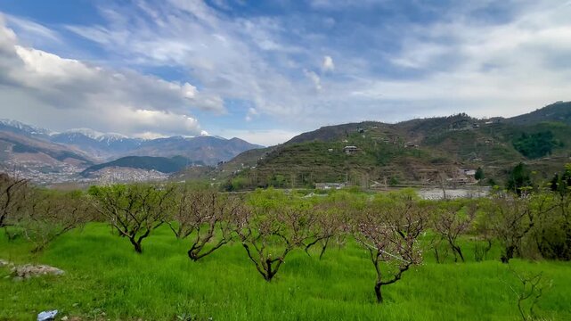 A scenic wide view of lush green agricultural orchards in a mountain valley backed by rolling forested hills under a partly cloudy blue sky in Khyber Pakhtunkhwa, Pakistan,