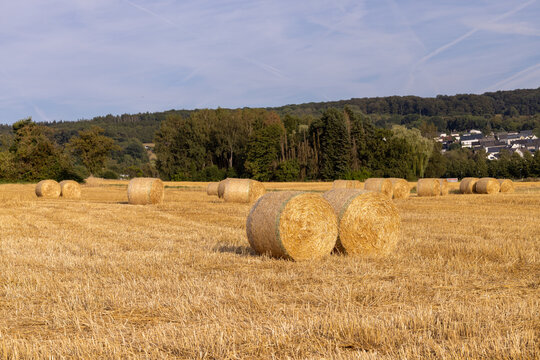 bales of hay