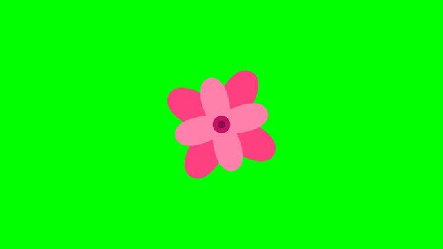 Professional 4K animated rotating simple layered paper cutout tulip featuring elegant cup-shaped vibrant pink botanical flat petals and smooth overlapping layers isolated on pure chroma key green scre